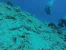 Hawaii Scuba divng 04