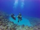 Hawaii Scuba divng 56