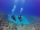 Hawaii Scuba divng 57