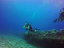 Hawaii Scuba divng 61