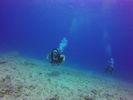 Hawaii Scuba divng 68