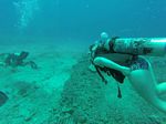 Hawaii Scuba divng 78