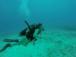 Hawaii Scuba divng 80