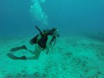 Hawaii Scuba divng 81