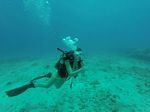 Hawaii Scuba divng 82