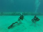 Hawaii Scuba divng 84