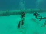 Hawaii Scuba divng 86