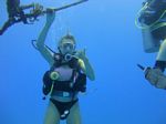 Hawaii Scuba divng 11