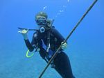 Hawaii Scuba divng 12