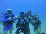 Hawaii Scuba divng 15