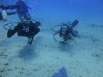 Hawaii Scuba divng 16