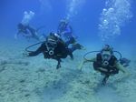 Hawaii Scuba divng 18