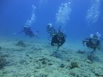 Hawaii Scuba divng 19