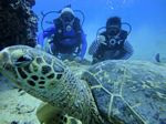 Hawaii Scuba divng 28