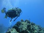 Hawaii Scuba divng 35