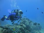 Hawaii Scuba divng 38