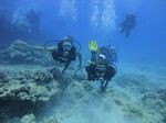 Hawaii Scuba divng 39