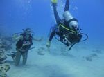 Hawaii Scuba divng 40