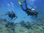 Hawaii Scuba divng 42