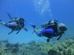 Hawaii Scuba divng 43