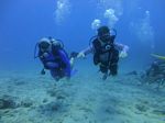 Hawaii Scuba divng 44