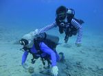 Hawaii Scuba divng 51