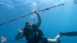 Honolulu Scuba 12