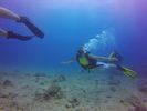 Hawaii Scuba divng 10