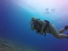 Hawaii Scuba divng 11