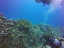 Hawaii Scuba divng 13