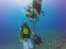 Hawaii Scuba divng 18