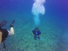 Hawaii Scuba divng 20