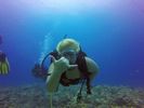 Hawaii Scuba divng 23