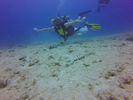 Hawaii Scuba divng 26