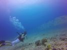 Hawaii Scuba divng 27