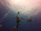 Hawaii Scuba divng 02