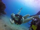 Hawaii Scuba divng 31