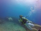 Hawaii Scuba divng 33