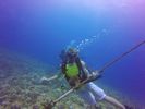 Hawaii Scuba divng 03