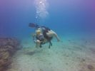 Hawaii Scuba divng 40