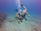 Hawaii Scuba divng 41