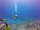 Hawaii Scuba divng 49