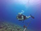 Hawaii Scuba divng 04