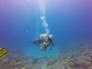 Hawaii Scuba divng 51