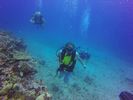 Hawaii Scuba divng 53