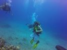 Hawaii Scuba divng 54