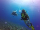 Hawaii Scuba divng 56