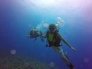 Hawaii Scuba divng 56