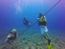 Hawaii Scuba divng 57