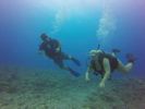 Hawaii Scuba divng 05